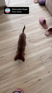 Haru Jiggly feet photo 17
