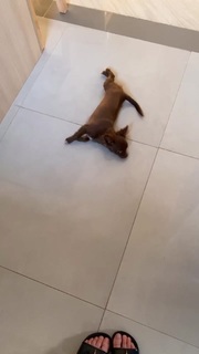 Haru Jiggly feet photo 16