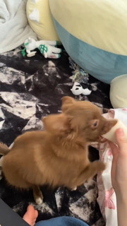 Haru Jiggly feet photo 15