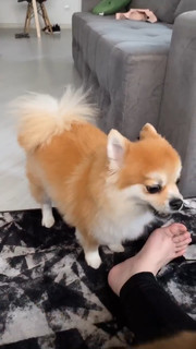 Haru Jiggly feet photo 14