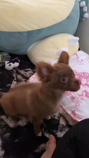 Haru Jiggly feet photo 13