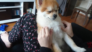 Haru Jiggly feet photo 11