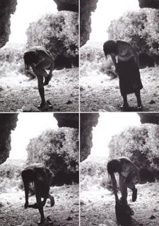 Haruka Ayase feet photo thumbnail