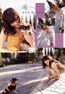 Haruka Ayase feet photo thumbnail