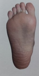 Haruka Momokawa feet photo 1