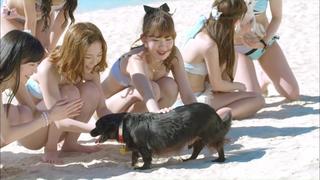 Haruka Shimazaki feet photo 1