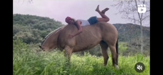 Hassie Harrison feet photo thumbnail