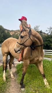 Hassie Harrison feet photo thumbnail