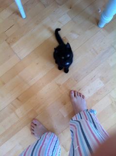 Hattie Morahan feet photo 4
