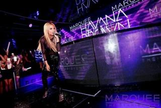 Havana Brown feet photo 4