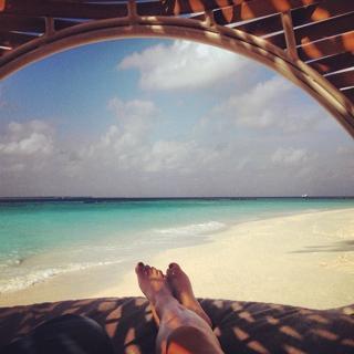 Havana Brown feet photo 13