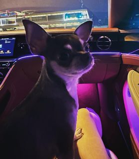 Haya Maraachli feet photo thumbnail