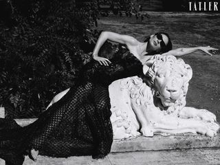 Hayley Atwell feet photo 1