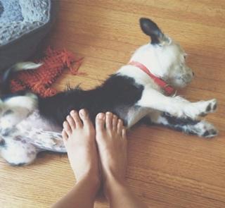 Hayley Kiyoko feet photo thumbnail