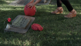 Hayley Kiyoko feet photo thumbnail