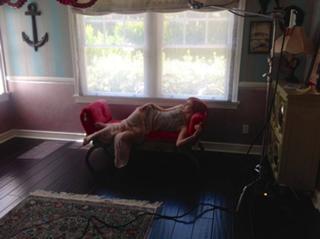 Hayley Williams feet photo thumbnail
