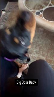 Haylie Duff feet photo thumbnail
