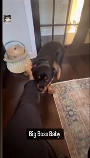 Haylie Duff feet photo thumbnail