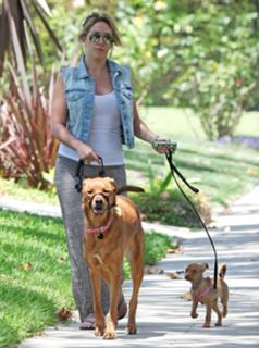 Haylie Duff feet photo thumbnail