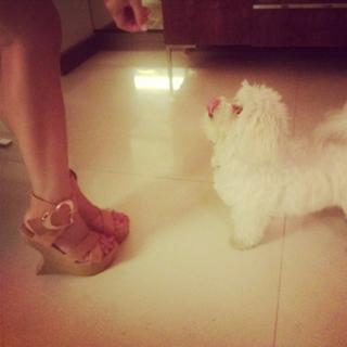 Heart Evangelista feet photo 17