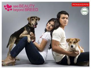 Heart Evangelista feet photo 10