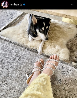 Heart Evangelista feet photo 16
