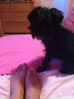 Heather Cole feet photo 6