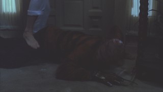 Heather Langenkamp feet photo 5