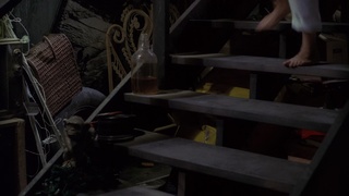 Heather Langenkamp feet photo 3