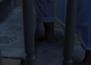 Heather Langenkamp feet photo 2