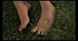 Heather Locklear feet photo thumbnail