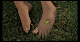 Heather Locklear feet photo thumbnail