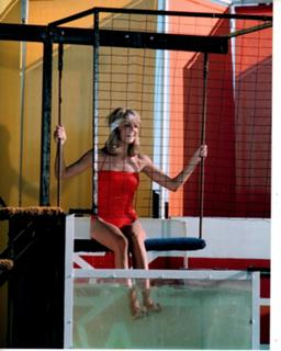 Heather Locklear feet photo thumbnail