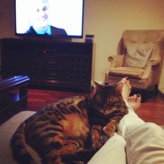 Heather McDonald feet photo 11