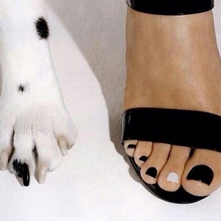 Heather Parisi feet photo 20