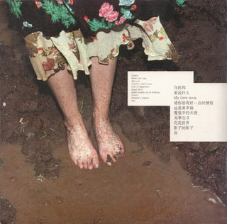 Hebe Tien feet photo 8