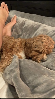 Heidi D'Amelio feet photo thumbnail