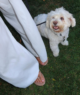 Heidi D'Amelio feet photo thumbnail