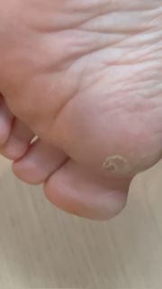 Heidi D'Amelio feet photo 3