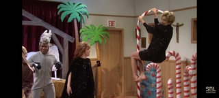 Heidi Gardner feet photo thumbnail