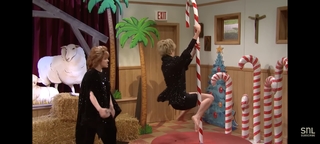 Heidi Gardner feet photo thumbnail