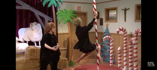 Heidi Gardner feet photo thumbnail