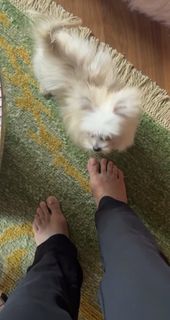 Heidi Klum feet photo 11