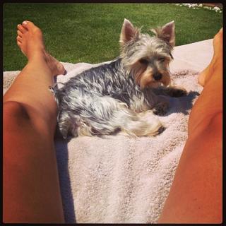 Helen Lindes feet photo 20