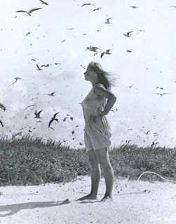 Helen Mirren feet photo thumbnail