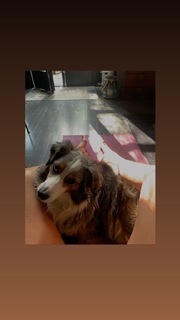 Helena Christensen feet photo thumbnail