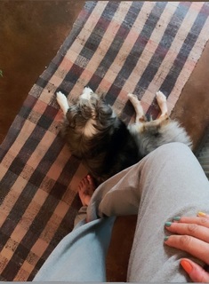 Helena Christensen feet photo thumbnail