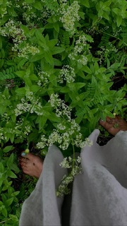 Helena Christensen feet photo thumbnail