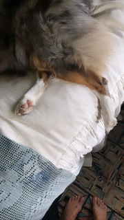 Helena Christensen feet photo thumbnail