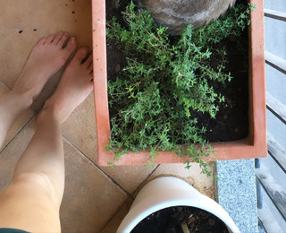 Helena Coelho feet photo 7